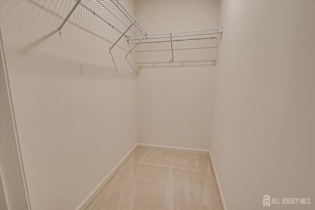 spacious closet with carpet flooring