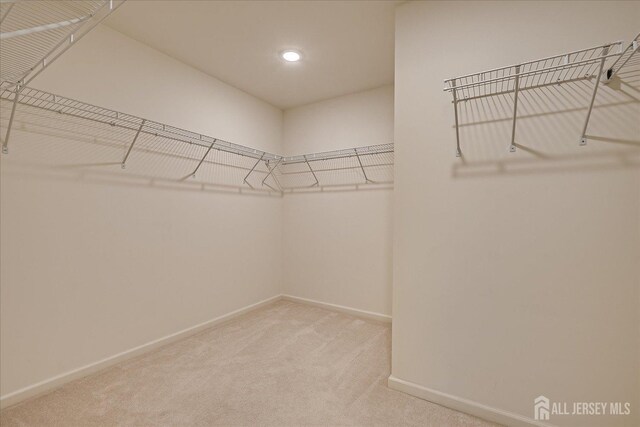 spacious closet with light colored carpet