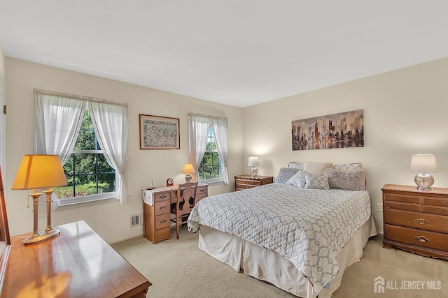 21 Van Hise Ct, East Brunswick, NJ 08816 - photo 20
