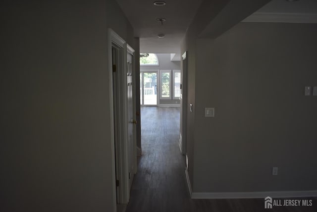 12 Juniper St, Metuchen, NJ 08840 - hallway featuring dark wood finished floors and baseboards