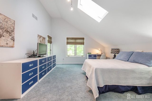 13 Clinton Ave, Edison, NJ 08820 - bedroom with vaulted ceiling, carpet, a skylight, and baseboards