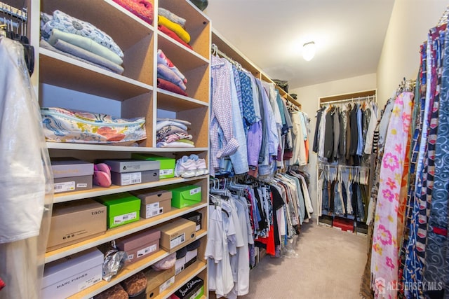 13 Clinton Ave, Edison, NJ 08820 - walk in closet with carpet floors