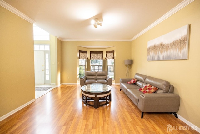 19 Larkspur Dr, South Brunswick, NJ 08810 - photo 7