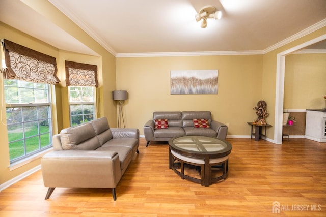 19 Larkspur Dr, South Brunswick, NJ 08810 - photo 6