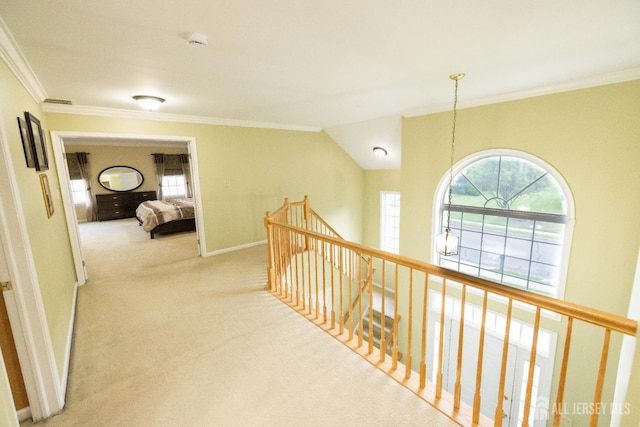 19 Larkspur Dr, South Brunswick, NJ 08810 - photo 17