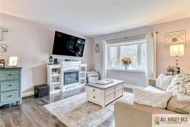 living room featuring wood finished floors, baseboards, and a glass covered fireplace
