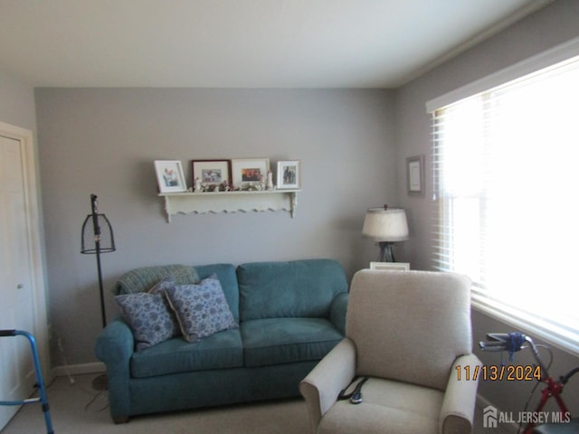 living room with a wealth of natural light and carpet