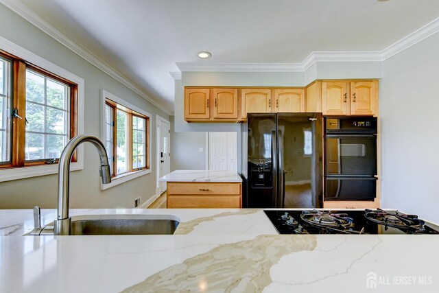 21 Princeton Rd, Old Bridge, NJ 08859 - kitchen featuring black appliances, ornamental molding, light brown cabinetry, recessed lighting, and light stone counters