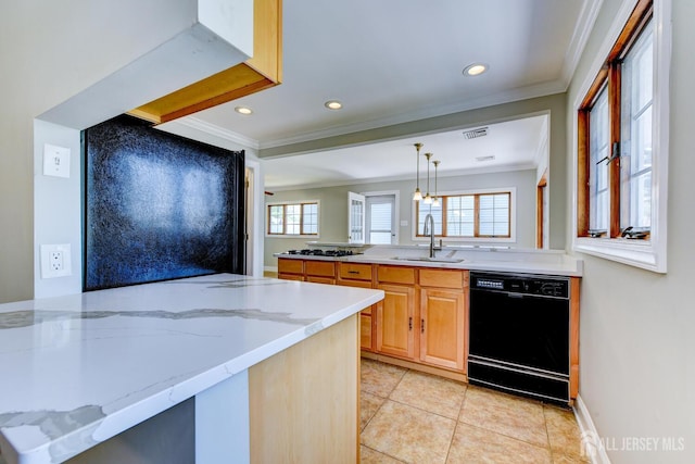 21 Princeton Rd, Old Bridge, NJ 08859 - kitchen with black dishwasher, ornamental molding, light stone countertops, recessed lighting, and decorative light fixtures