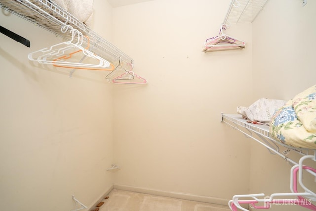 view of walk in closet