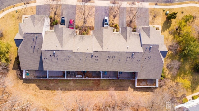drone / aerial view