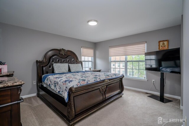 284 Morning Glory Dr, Monroe, NJ 08831 - photo 13