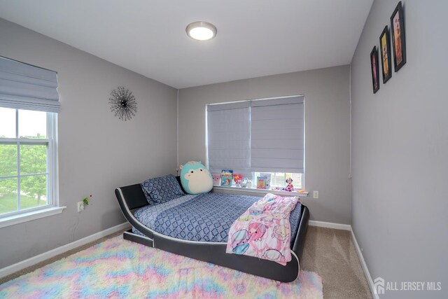 284 Morning Glory Dr, Monroe, NJ 08831 - photo 23