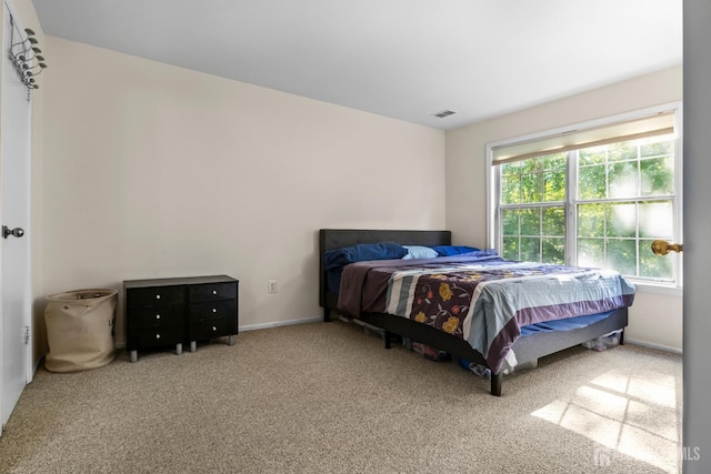 6072 Cedar Ct, South Brunswick, NJ 08852 - bedroom featuring carpet and baseboards