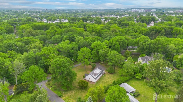 108 Midwood Way, Colonia, NJ 07067 - aerial view of property's location featuring a forest