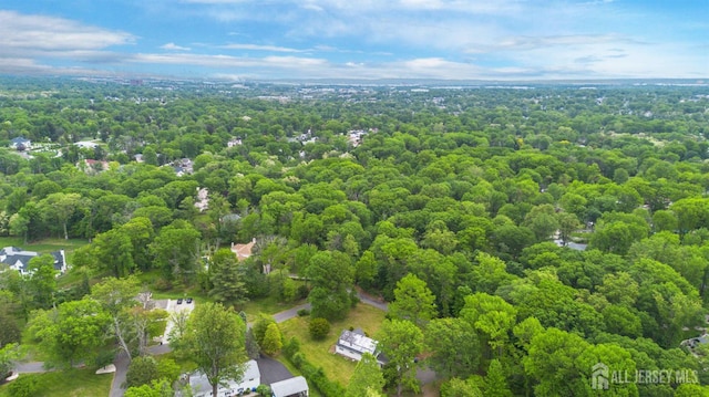 108 Midwood Way, Colonia, NJ 07067 - bird's eye view of a forest