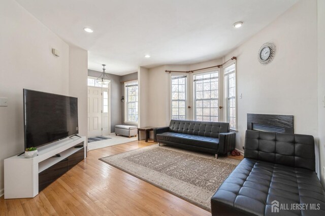 living room with a fireplace, hardwood / wood-style floors, and a wealth of natural light