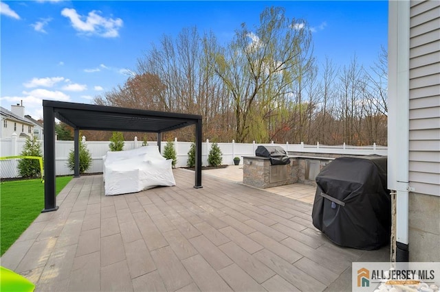 view of patio featuring area for grilling and exterior kitchen