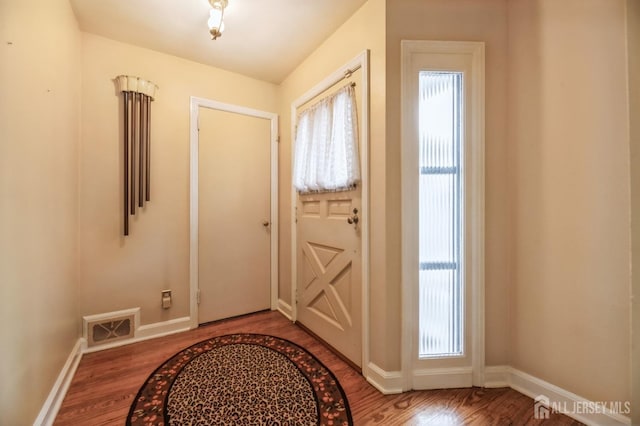 doorway featuring a wealth of natural light and hardwood / wood-style floors