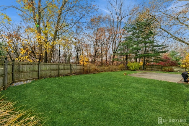 view of yard with a patio