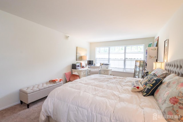 186 Barclay Ct, Piscataway, NJ 08854 - photo 17
