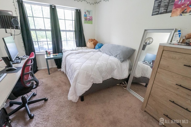 186 Barclay Ct, Piscataway, NJ 08854 - photo 21