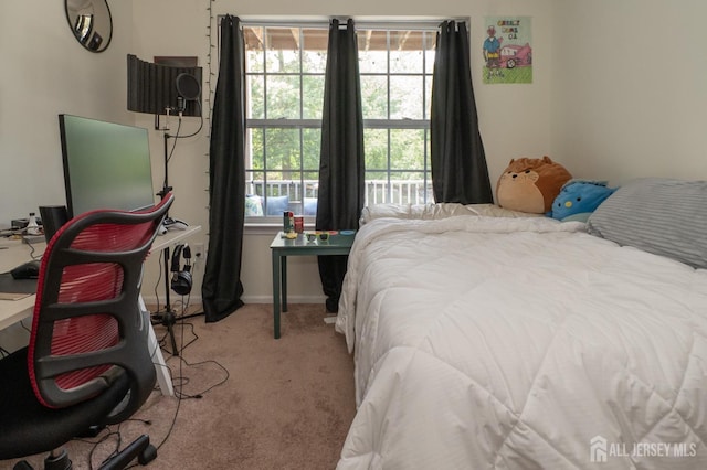 186 Barclay Ct, Piscataway, NJ 08854 - photo 22