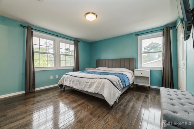1 Webster Rd, Franklin, NJ 08873 - bedroom featuring multiple windows, dark wood finished floors, and baseboards