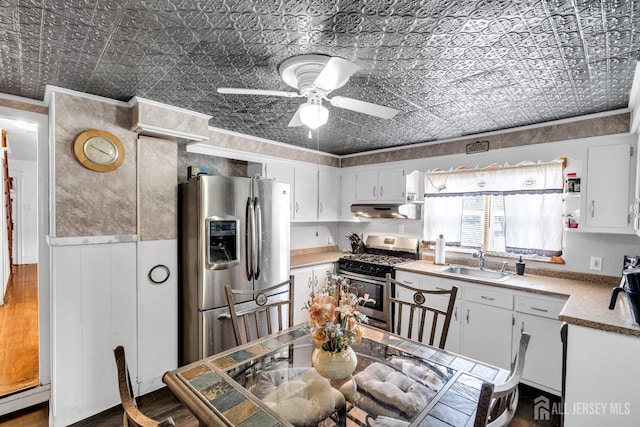 kitchen with appliances with stainless steel finishes, a sink, an ornate ceiling, under cabinet range hood, and ceiling fan