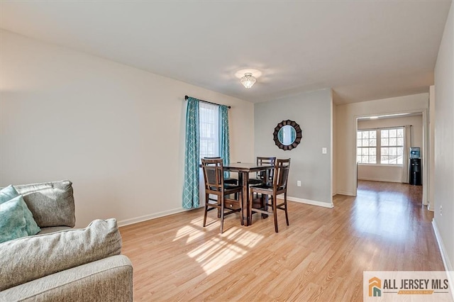 dining room with light hardwood / wood-style floors