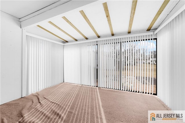 40 Haddon Rd Unit 40B, Monroe, NJ 08831 - view of spare room