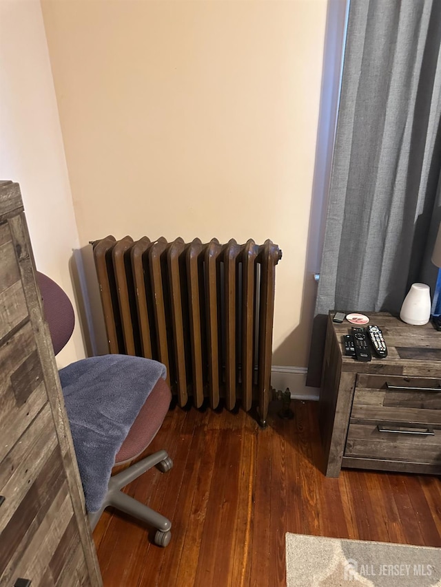 359 Parkway Ave, Trenton, NJ 08618 - bedroom featuring radiator heating unit and dark wood-style floors