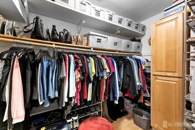 walk in closet with wood finished floors