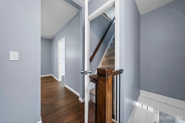 41 Guilden St, New Brunswick, NJ 08901 - hallway featuring dark wood-style flooring and stairs
