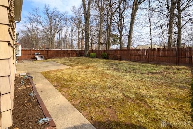 view of yard with a patio and a fenced backyard