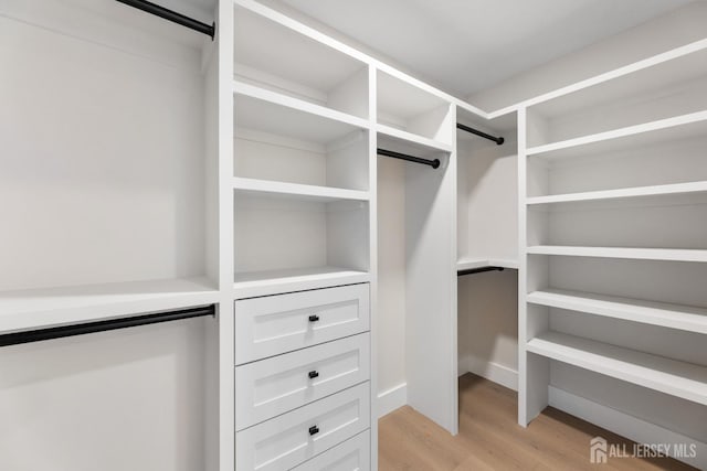 116 Hunt Dr, Princeton, NJ 08540 - walk in closet featuring light wood-style flooring