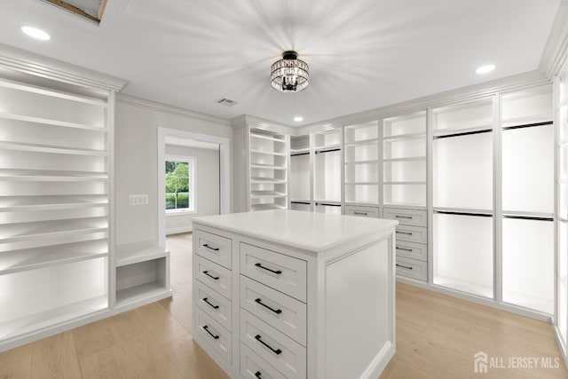 116 Hunt Dr, Princeton, NJ 08540 - walk in closet featuring light wood-style flooring