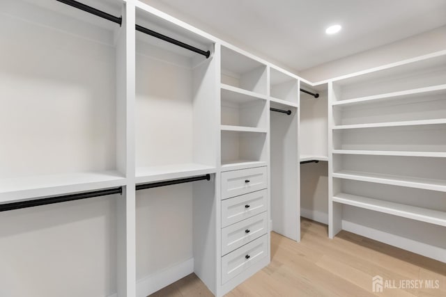 116 Hunt Dr, Princeton, NJ 08540 - walk in closet featuring a barn door and light wood-style floors