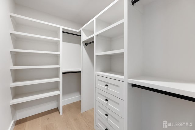 116 Hunt Dr, Princeton, NJ 08540 - walk in closet featuring light wood-style flooring