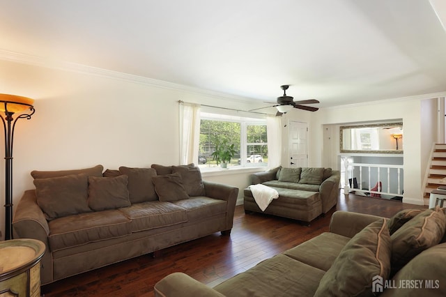 505 Runyon Ave, Piscataway, NJ 08854 - living area with ornamental molding, a ceiling fan, and hardwood / wood-style floors