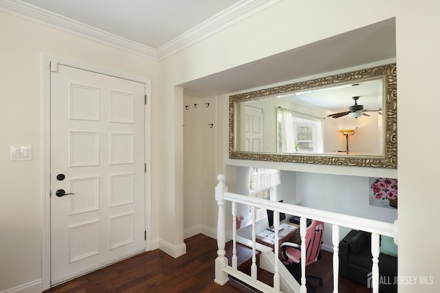 505 Runyon Ave, Piscataway, NJ 08854 - foyer entrance featuring dark wood-type flooring, a ceiling fan, and crown molding