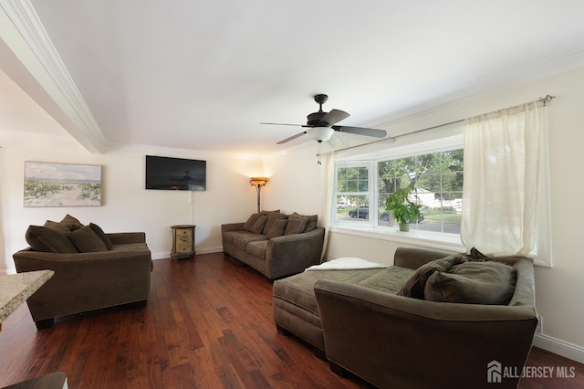 505 Runyon Ave, Piscataway, NJ 08854 - living area with dark wood finished floors, a ceiling fan, and ornamental molding