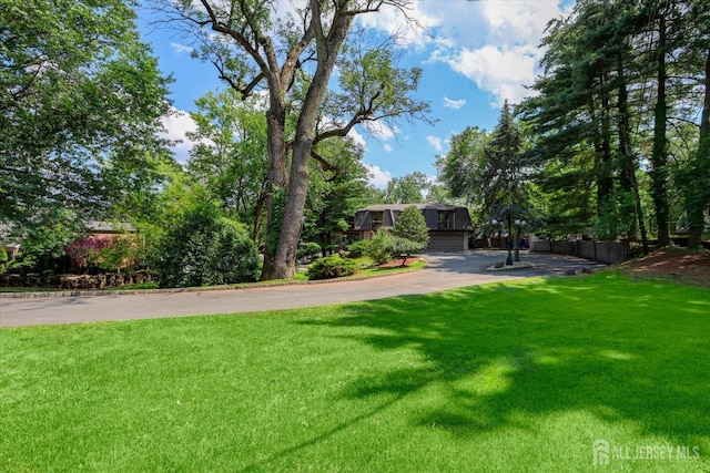 403 New Dover Rd, Colonia, NJ 07067 - view of grassy yard