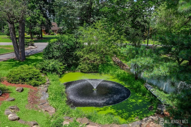 403 New Dover Rd, Colonia, NJ 07067 - view of property's community