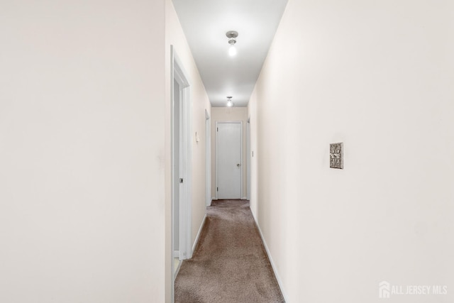 hall with light carpet and baseboards