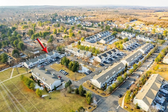 bird's eye view