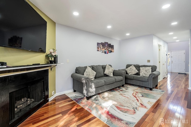 living room featuring wood-type flooring