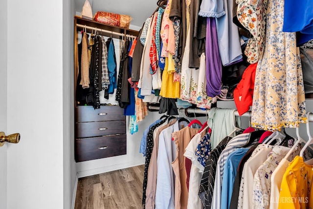30 Montague Ave, Woodbridge Proper, NJ 08830 - walk in closet featuring wood finished floors