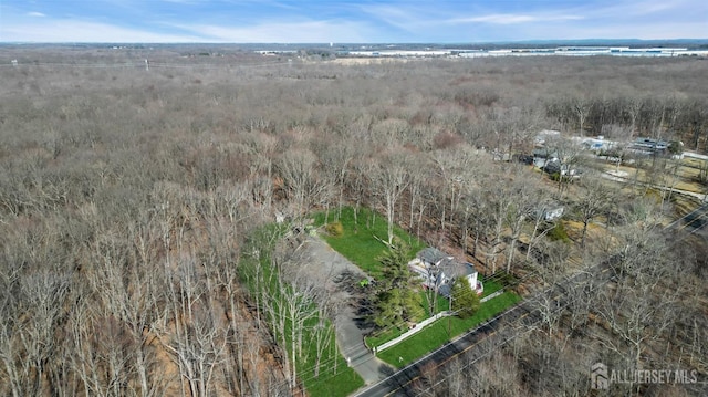 drone / aerial view featuring a rural view