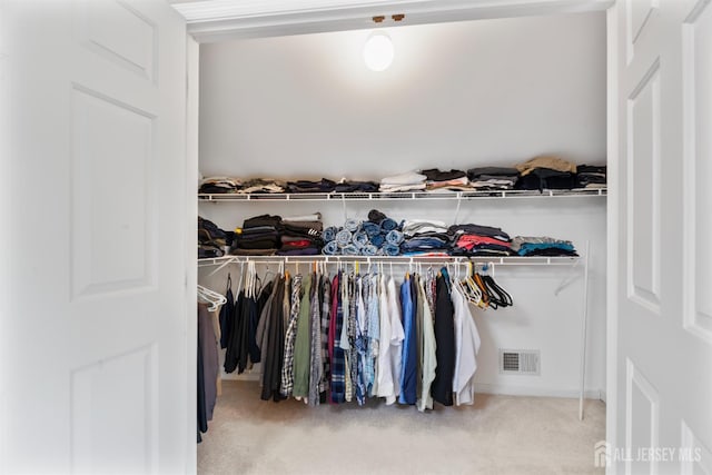 18 Stout Dr, Hillsborough, NJ 08844 - view of closet